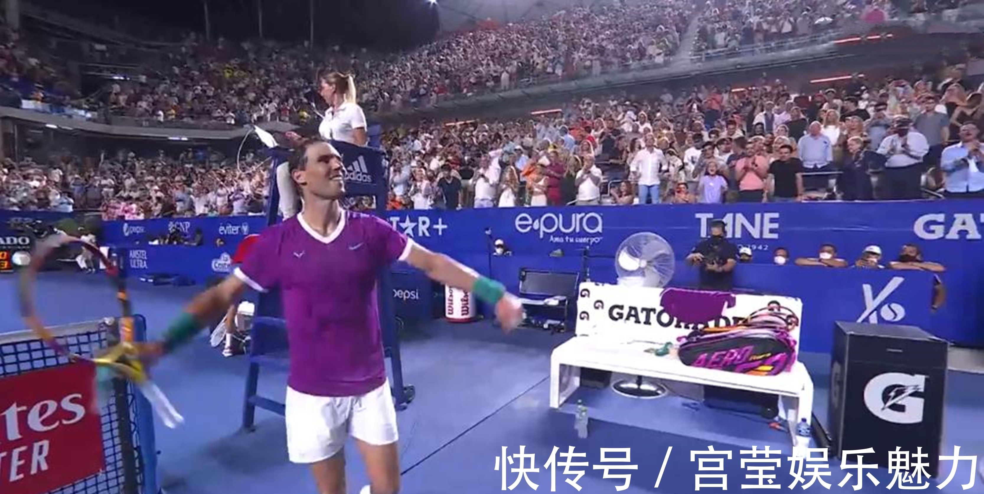 因为它不仅 因为它不仅